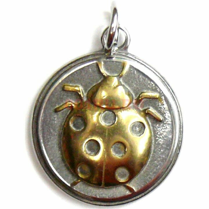 amulet ladybug - tugann sé ádh airgeadais